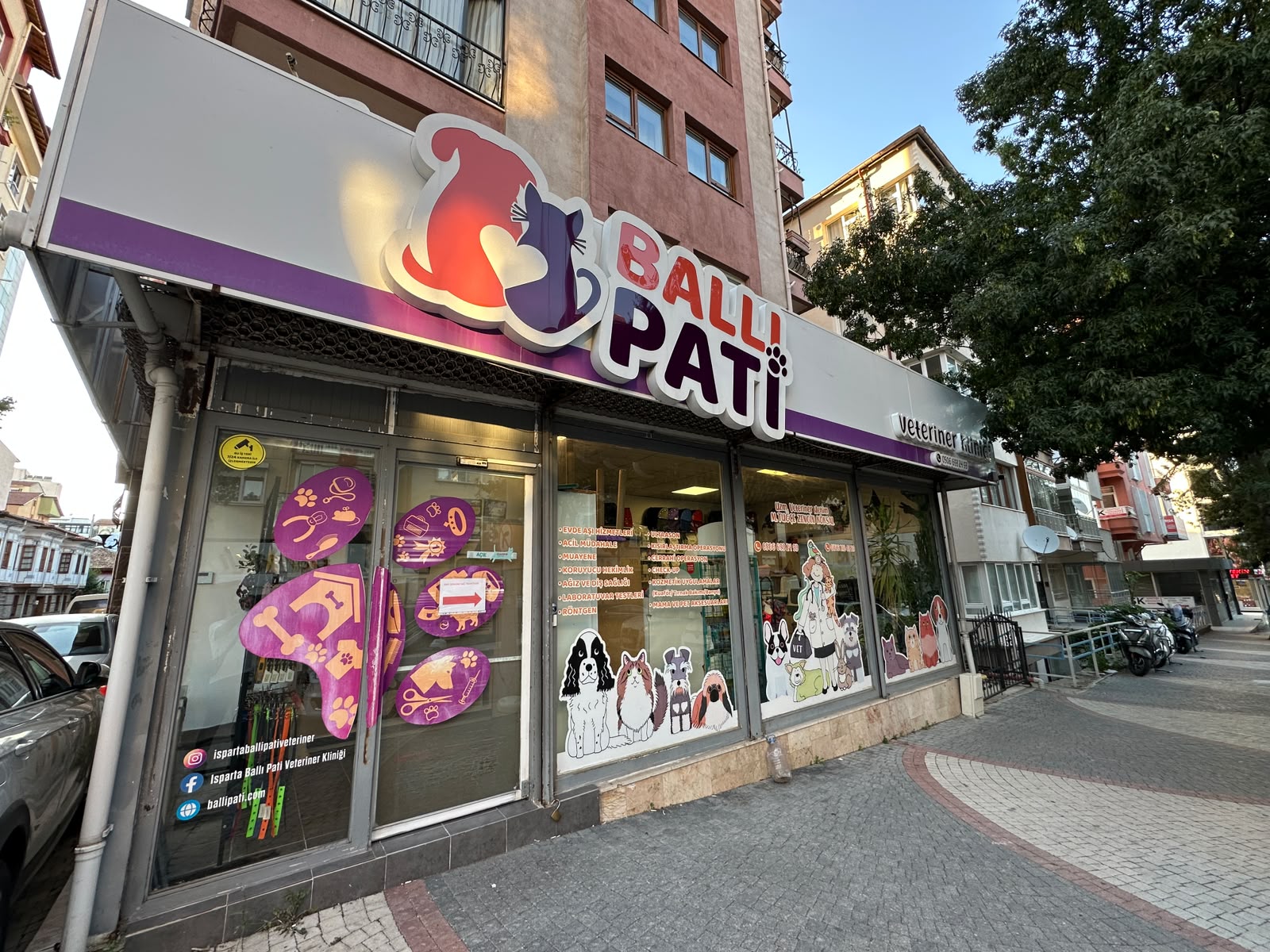 Diğer